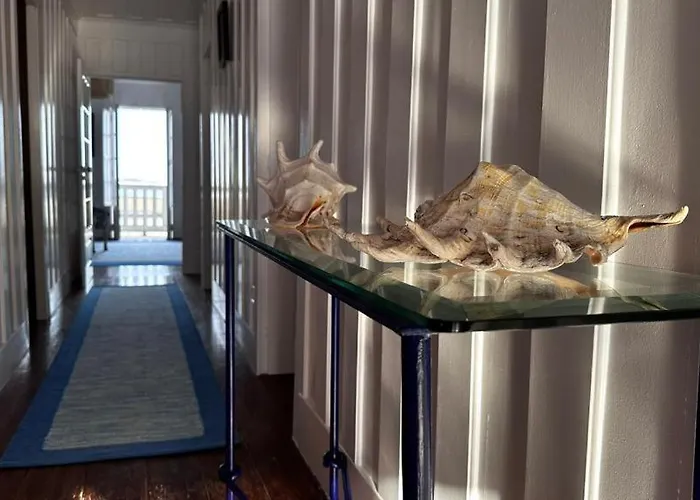 Appartement Palheiro Da Ana